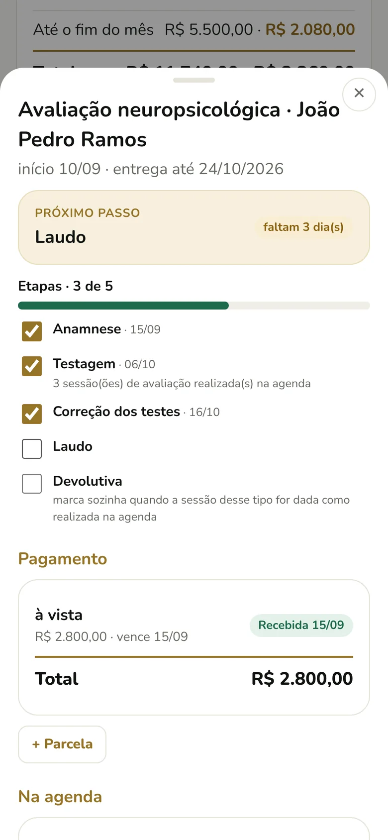 Avaliação neuropsicológica com próximo passo Laudo, faltam 3 dias, etapas marcadas e pagamento à vista recebido.
